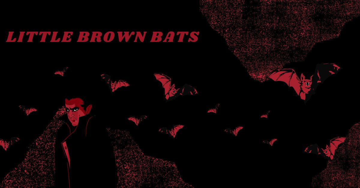 Little-Brown-Bats