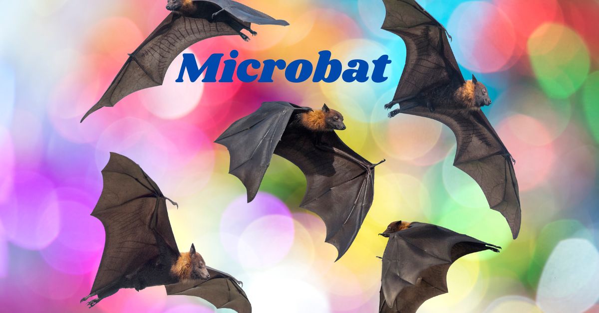 Microbat-