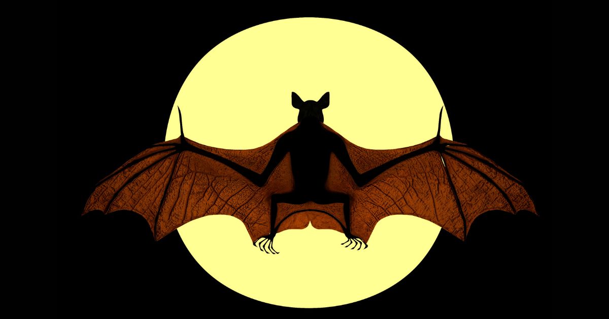 Vampire-Bat